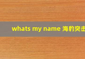 whats my name 海豹突击队